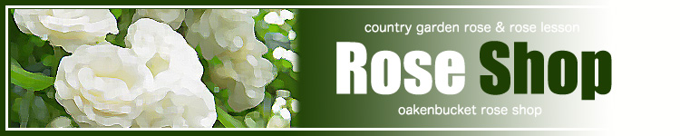 ローズガーデン ガーデニング 村田晴夫のローズレッスン ガーデン バラの庭 ガーデニング つるバラの庭 バラ イングリッシュローズ